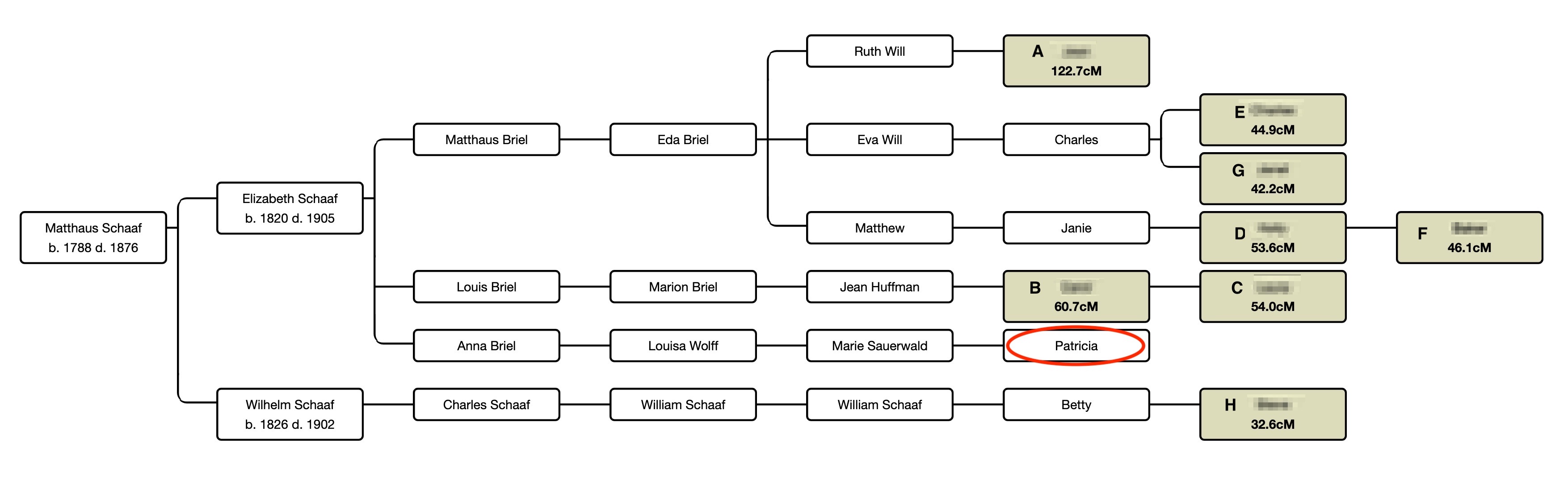 Exploring AutoClusters – Patricia Coleman Genealogy LLC