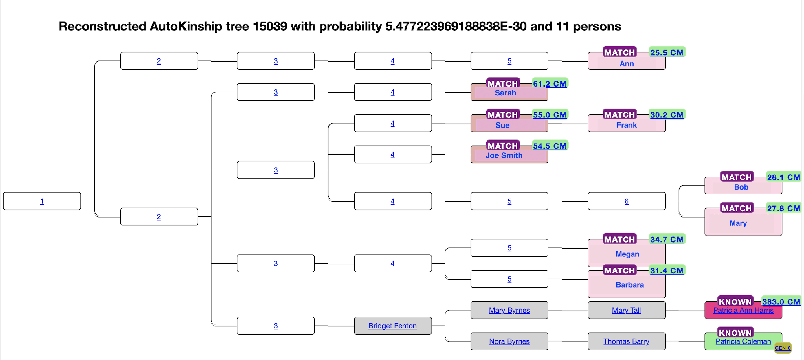 Reconstruct trees for MyHeritage matches using AutoKinship – Patricia ...